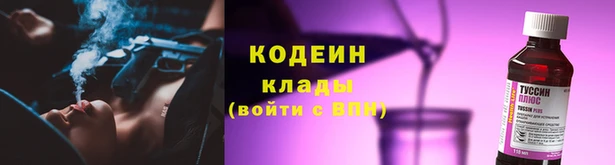 мдпв Бронницы