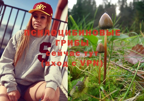 MDMA Premium VHQ Верхний Тагил