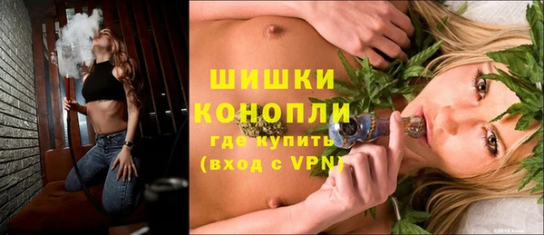 мдпв Бронницы