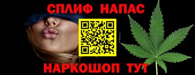 мдпв Гагарин