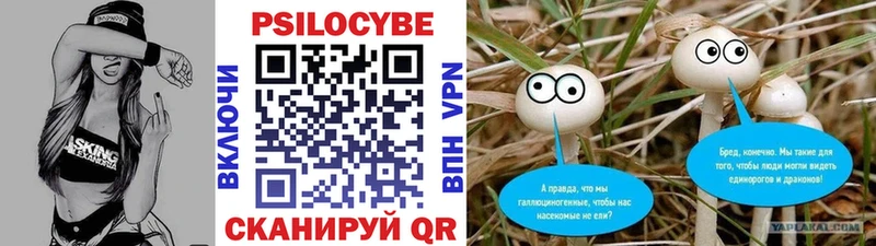Галлюциногенные грибы прущие грибы  МЕГА онион  Вязники 