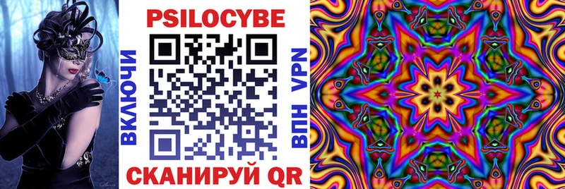 Псилоцибиновые грибы Psilocybe Вязники