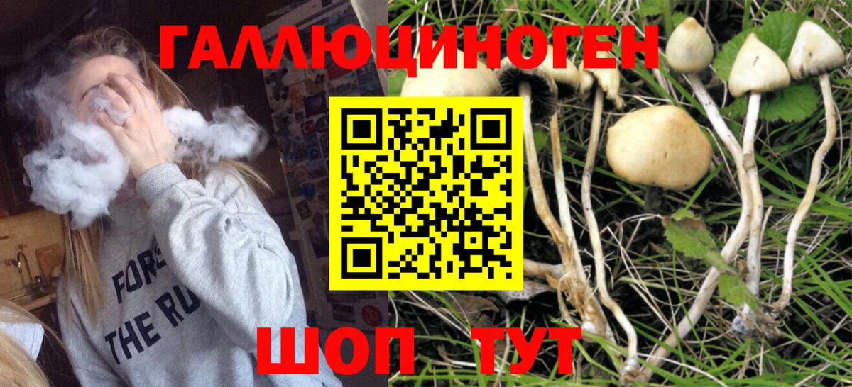 Псилоцибиновые грибы прущие грибы Вязники