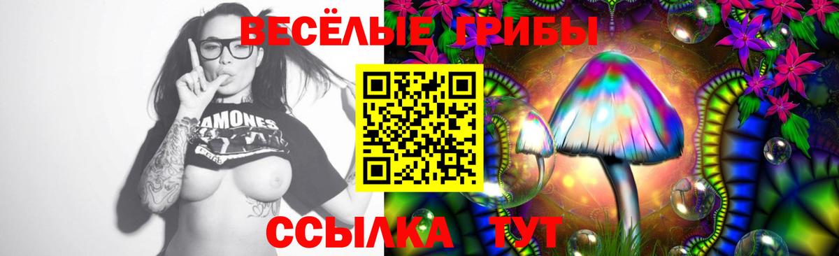 Вязники  Галлюциногенные грибы Psilocybine cubensis  Псилоцибиновые грибы MAGIC MUSHROOMS  Вход с VPN 